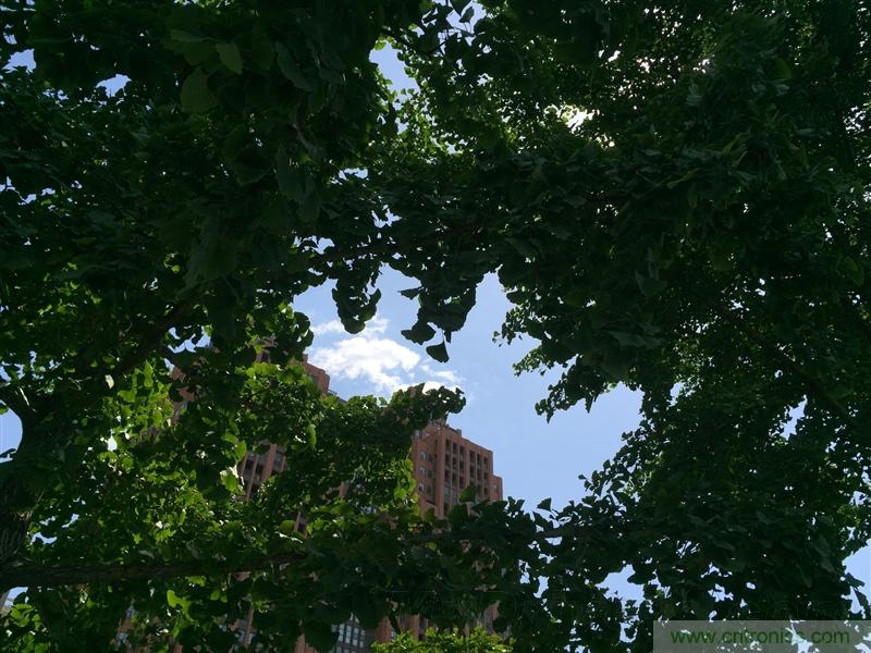 無(wú)邊框的 nubia Z9 ，一款既有驚喜，又有驚艷的智能手機(jī)