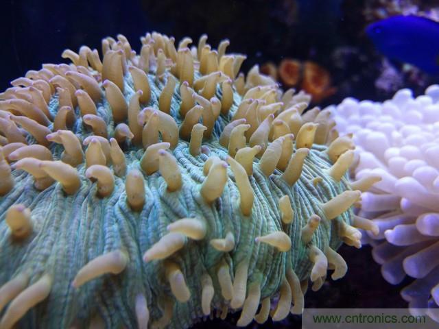 Hi-Fi革命！vivo X6 Plus深度評(píng)測(cè)：夠快才暢快