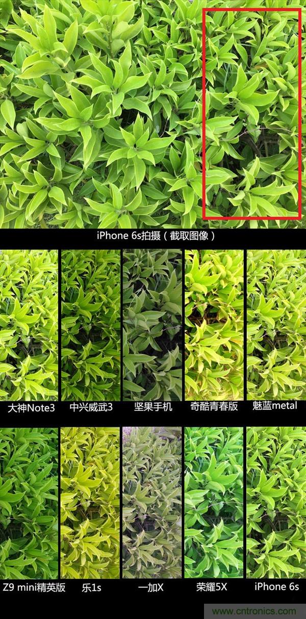 2015年9款千元智能手機橫評：誰才是紅海霸主？