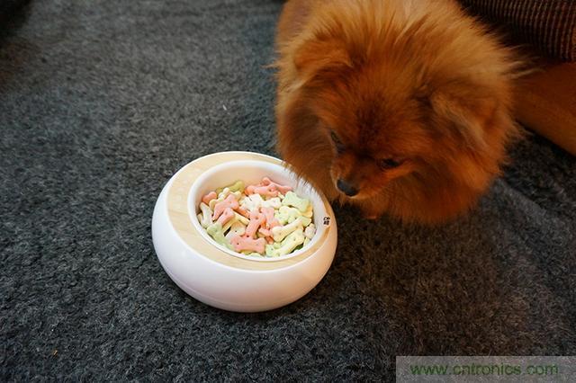 科學(xué)喂養(yǎng)從狗娃做起&mdash;&mdash;逗愛乖乖碗測(cè)試