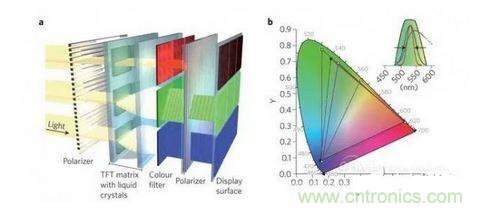  LCD顯示器示意圖。TFT表示薄膜晶體管（thin-film transistor）。