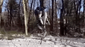 走直線很難嗎？陀螺儀表示，少了它機器人連直線都走不了