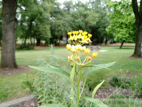 無數(shù)的拍攝，只為成就一個(gè)完美回憶