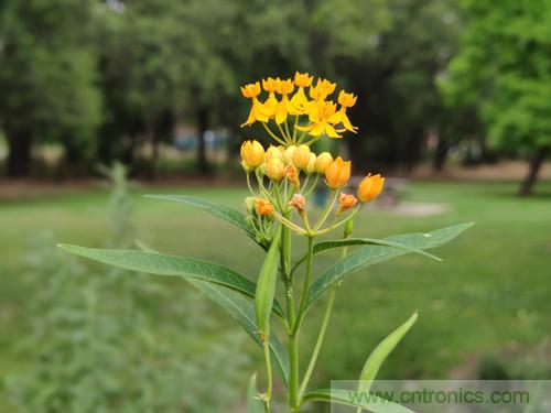 無數(shù)的拍攝，只為成就一個(gè)完美回憶