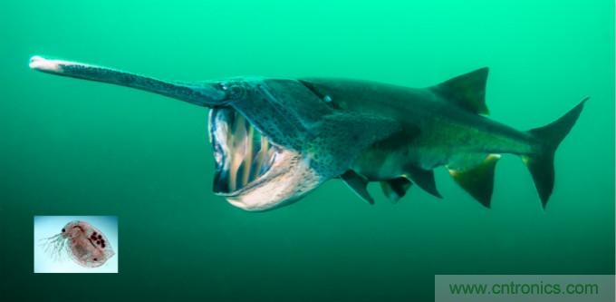 檢測(cè)不到信號(hào)，是加點(diǎn)噪聲？還是濾除噪聲？