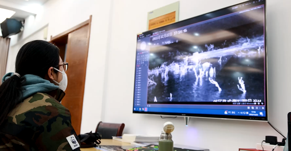 世界濕地日：?？低晹y手一個地球自然基金會，在上海守護(hù)這個重要“驛站”